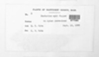 Image Associated With the Occurence